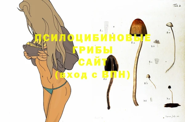 гашиш Абаза