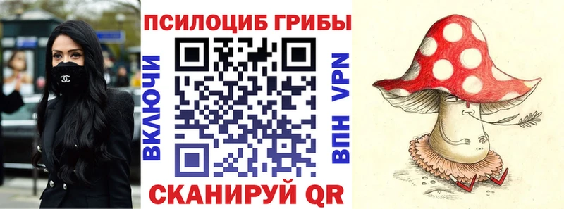 наркота  Котельнич  Псилоцибиновые грибы мицелий 